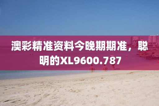 澳彩精準(zhǔn)資料今晚期期準(zhǔn)，聰明的XL9600.787