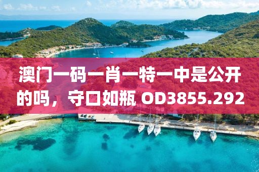 澳門一碼一肖一特一中是公開的嗎，守口如瓶 OD3855.292
