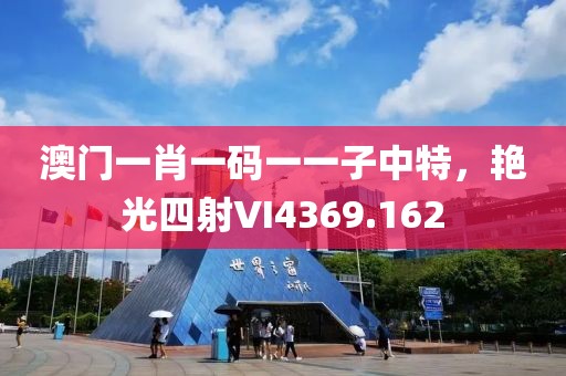 澳門一肖一碼一一子中特，艷光四射VI4369.162
