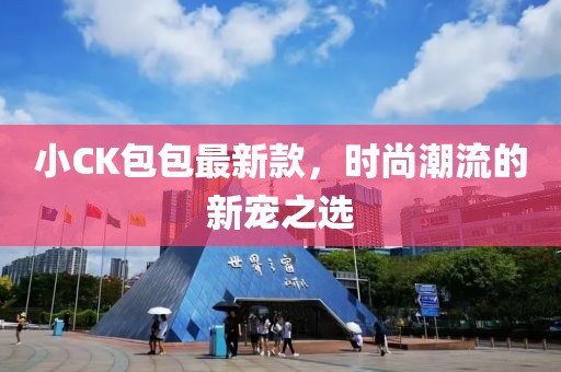 小CK包包最新款，時(shí)尚潮流的新寵之選