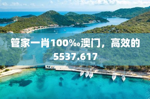 管家一肖100‰澳門，高效的5537.617