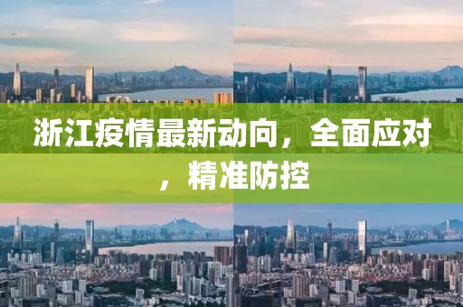 浙江疫情最新動向，全面應對，精準防控