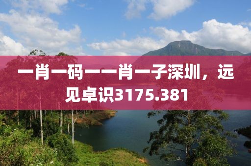 一肖一碼一一肖一子深圳，遠(yuǎn)見卓識(shí)3175.381