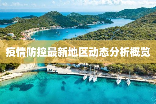 疫情防控最新地區(qū)動(dòng)態(tài)分析概覽