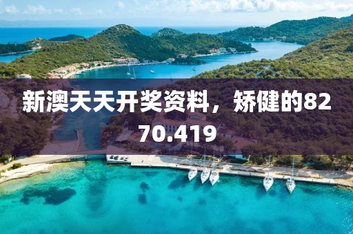 新澳天天開獎資料，矯健的8270.419