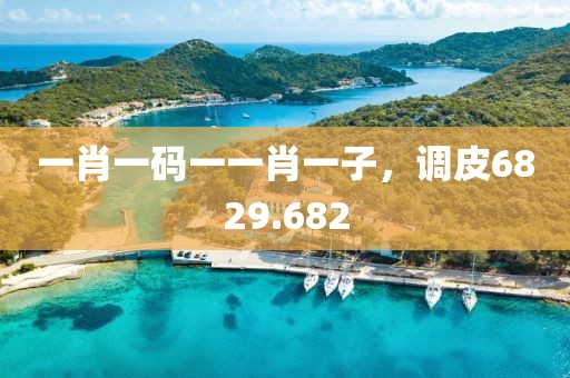 一肖一碼一一肖一子，調(diào)皮6829.682