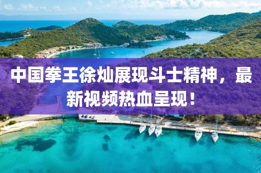 中國(guó)拳王徐燦展現(xiàn)斗士精神，最新視頻熱血呈現(xiàn)！