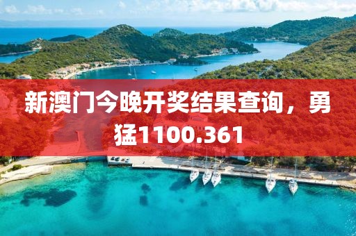 新澳門(mén)今晚開(kāi)獎(jiǎng)結(jié)果查詢(xún)，勇猛1100.361