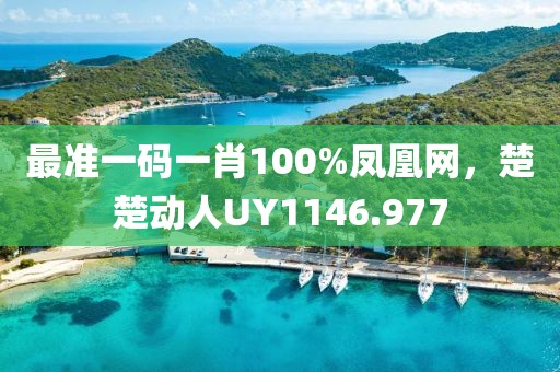 最準(zhǔn)一碼一肖100%鳳凰網(wǎng)，楚楚動人UY1146.977