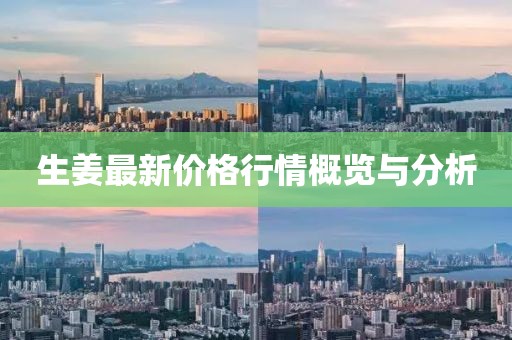生姜最新價格行情概覽與分析