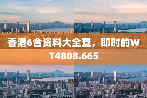 香港6合資料大全查，即時的WT4808.665