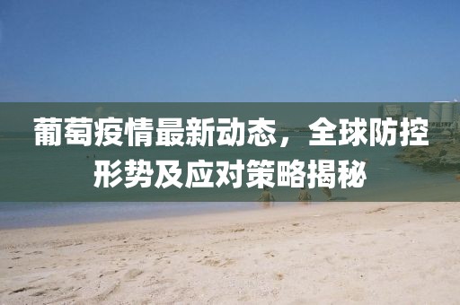 葡萄疫情最新動(dòng)態(tài)，全球防控形勢(shì)及應(yīng)對(duì)策略揭秘
