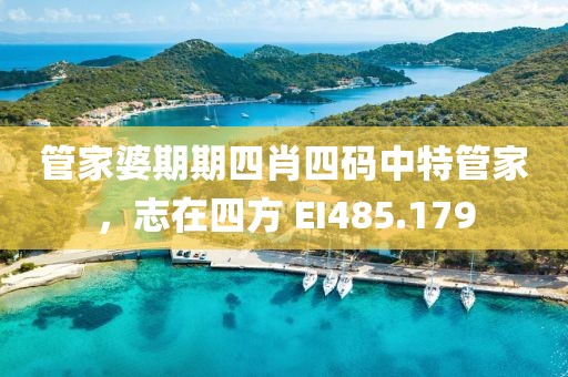 管家婆期期四肖四碼中特管家，志在四方 EI485.179