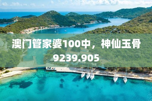 澳門管家婆100中，神仙玉骨9239.905