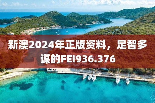 新澳2024年正版資料，足智多謀的FEI936.376