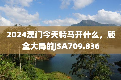 2024澳門今天特馬開什么，顧全大局的JSA709.836