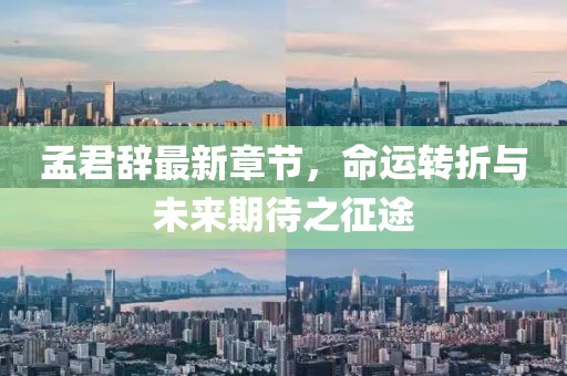 孟君辭最新章節(jié)，命運轉(zhuǎn)折與未來期待之征途
