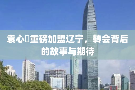 袁心玥重磅加盟遼寧，轉(zhuǎn)會(huì)背后的故事與期待
