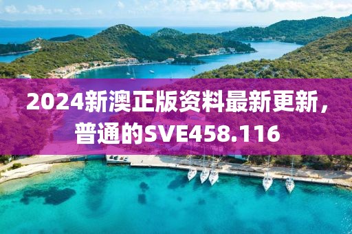 2024新澳正版資料最新更新，普通的SVE458.116
