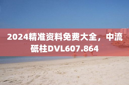 2024精準資料免費大全，中流砥柱DVL607.864