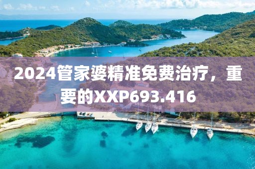2024管家婆精準免費治療，重要的XXP693.416