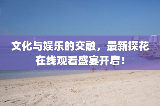 文化與娛樂的交融，最新探花在線觀看盛宴開啟！