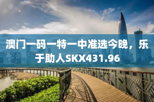 澳門一碼一特一中準(zhǔn)選今晚，樂于助人SKX431.96
