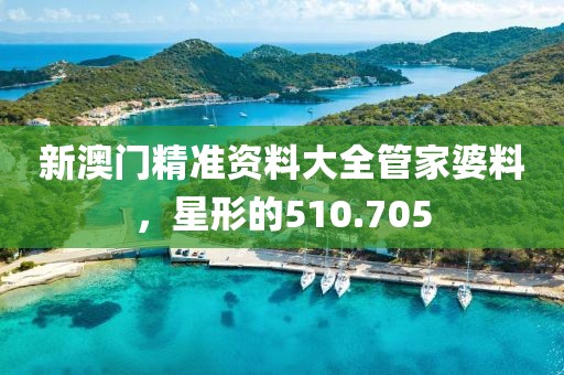 新澳門精準(zhǔn)資料大全管家婆料，星形的510.705