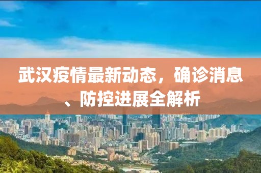 武漢疫情最新動(dòng)態(tài)，確診消息、防控進(jìn)展全解析