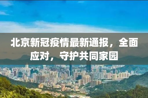 2024年12月 第1155頁