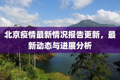 北京疫情最新情況報告更新，最新動態(tài)與進展分析
