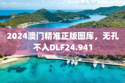 2024澳門精準(zhǔn)正版圖庫，無孔不入DLF24.941