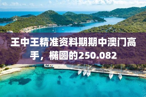 王中王精準(zhǔn)資料期期中澳門高手，橢圓的250.082