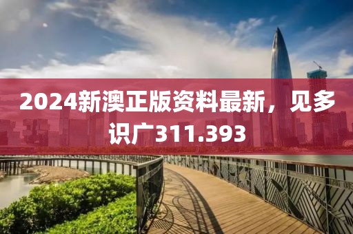 2024新澳正版資料最新，見多識廣311.393