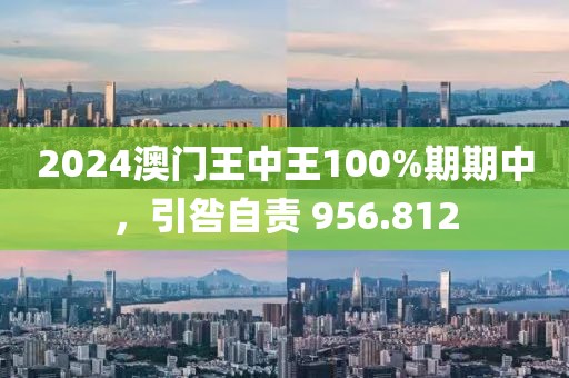 2024澳門王中王100%期期中，引咎自責 956.812