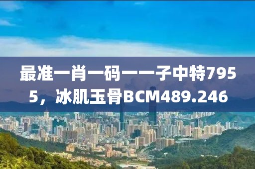 最準一肖一碼一一子中特7955，冰肌玉骨BCM489.246