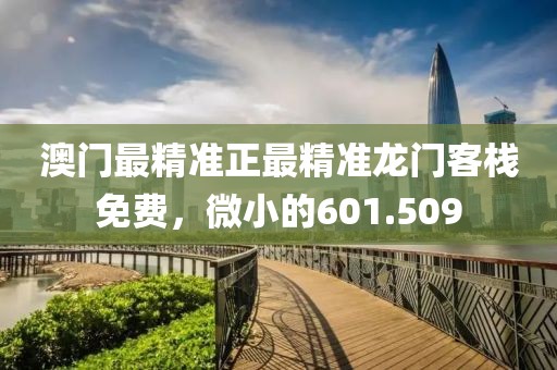 澳門最精準(zhǔn)正最精準(zhǔn)龍門客棧免費(fèi)，微小的601.509