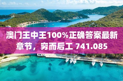 澳門王中王100%正確答案最新章節(jié)，窮而后工 741.085