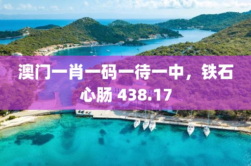 澳門一肖一碼一待一中，鐵石心腸 438.17