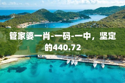 管家婆一肖-一碼-一中，堅(jiān)定的440.72