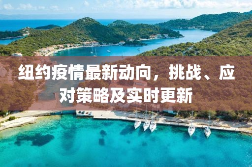 紐約疫情最新動向，挑戰(zhàn)、應對策略及實時更新