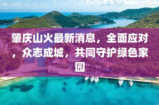肇慶山火最新消息，全面應(yīng)對，眾志成城，共同守護綠色家園
