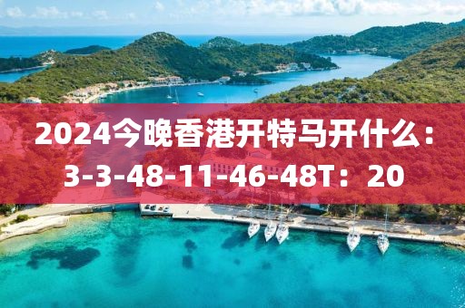 2024今晚香港開(kāi)特馬開(kāi)什么：3-3-48-11-46-48T：20