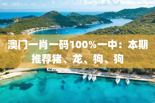 澳門一肖一碼100%一中：本期推薦豬、龍、狗、狗