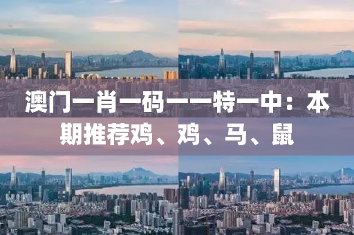 澳門一肖一碼一一特一中：本期推薦雞、雞、馬、鼠