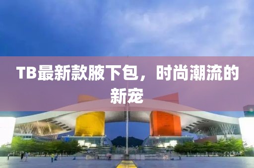 TB最新款腋下包，時尚潮流的新寵