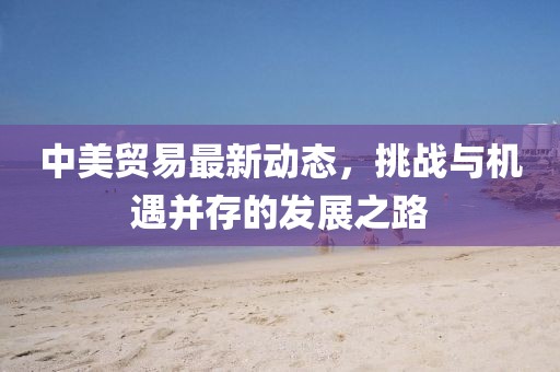 中美貿(mào)易最新動態(tài)，挑戰(zhàn)與機遇并存的發(fā)展之路