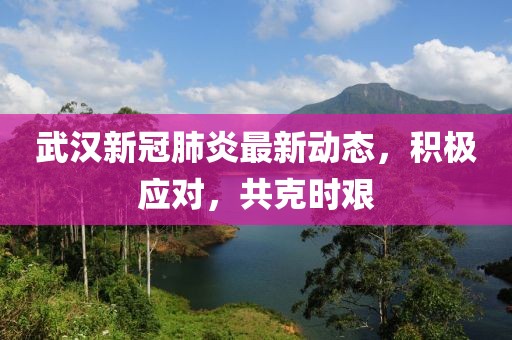 武漢新冠肺炎最新動態(tài)，積極應(yīng)對，共克時艱