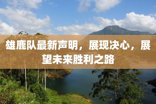 雄鹿隊最新聲明，展現(xiàn)決心，展望未來勝利之路