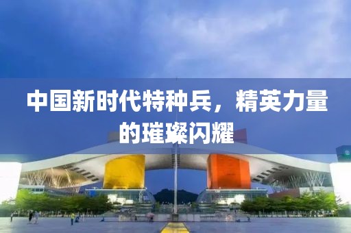中國新時代特種兵，精英力量的璀璨閃耀